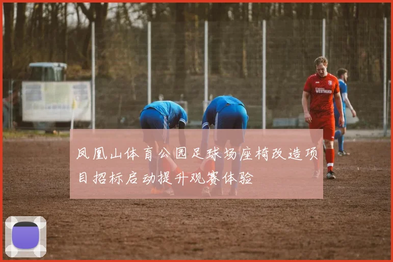凤凰山体育公园足球场座椅改造项目招标启动提升观赛体验